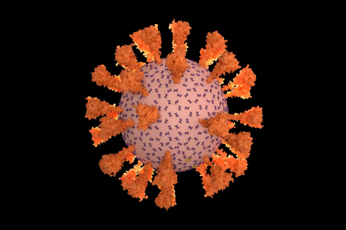 3-D rendering of virus
